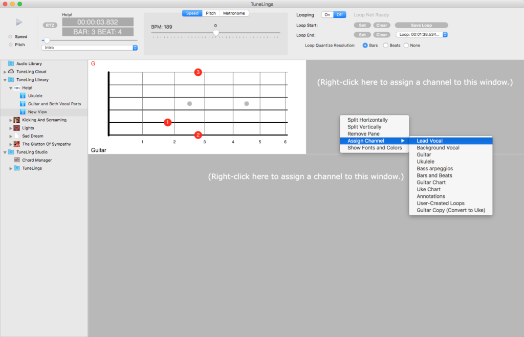 Learning With TuneLings assigment of channels to views