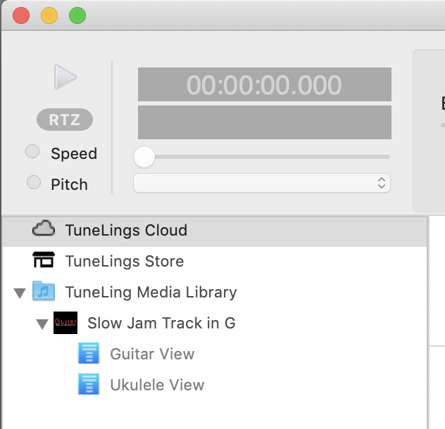 Detail of TuneLings app window